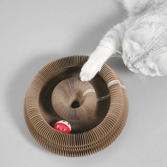 Purrfect Play Cat Scratcher