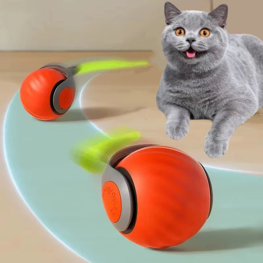 Whisker Chase Interactive Toy