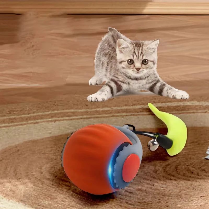 Whisker Chase Interactive Toy